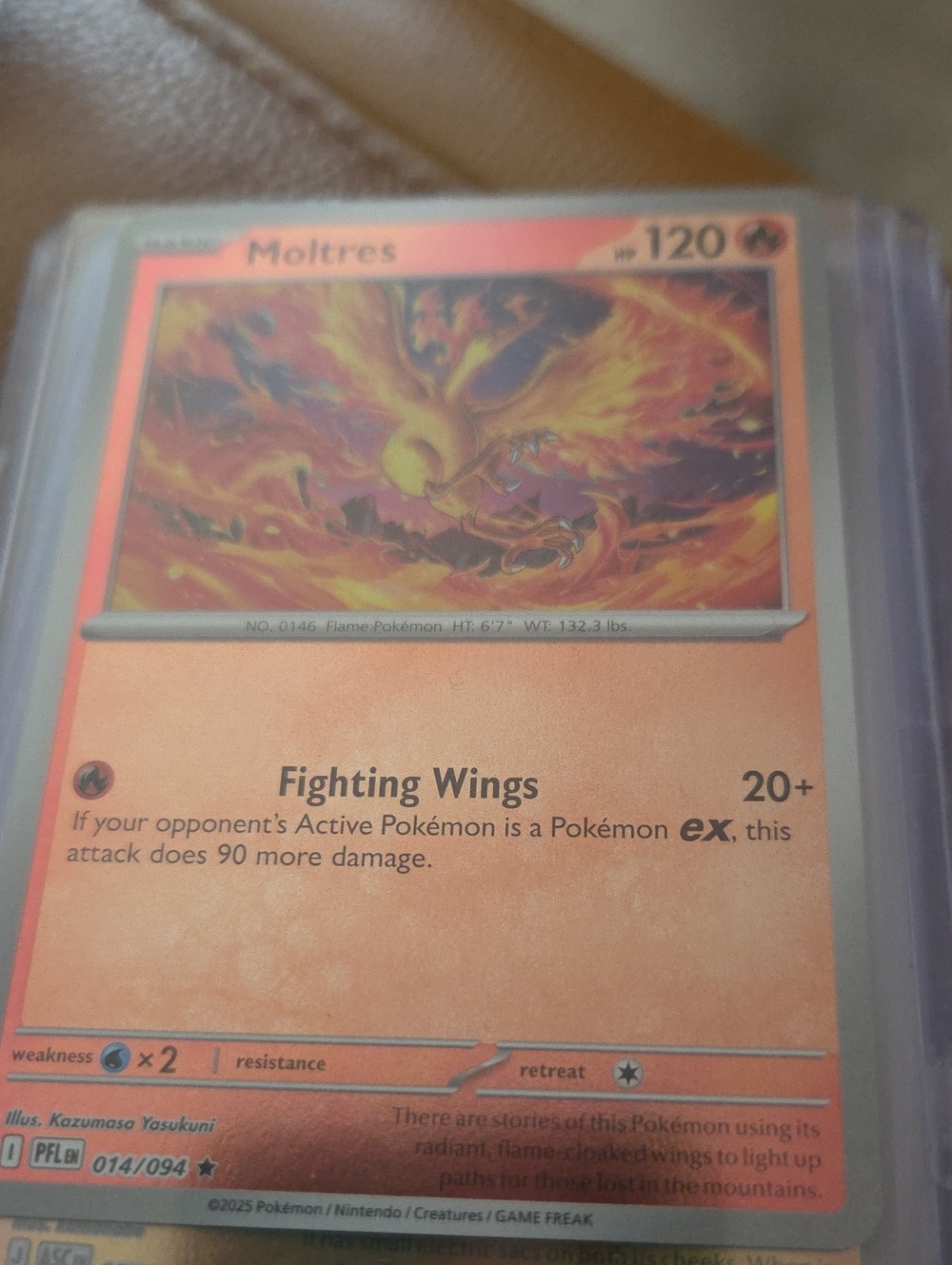 Moltres Collectible Card - Orange Fire Artwork And Rattata Take Down